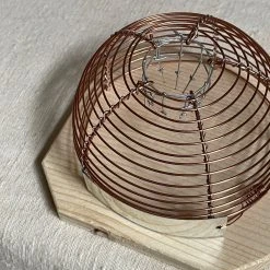 Redecker Humane Mousetrap