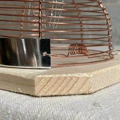 Redecker Humane Mousetrap