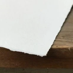 Vintage Mid-20th Century Charles De Carlo Iris Watercolor Painting Art & Objects