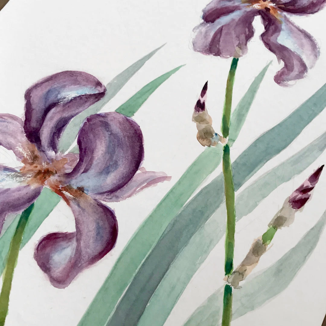 Vintage Mid-20th Century Charles De Carlo Iris Watercolor Painting Art & Objects