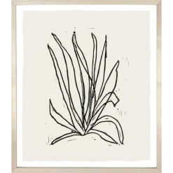 Hugo Guinness Desert Plant