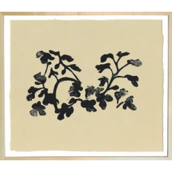 Hugo Guinness Fig Leaves