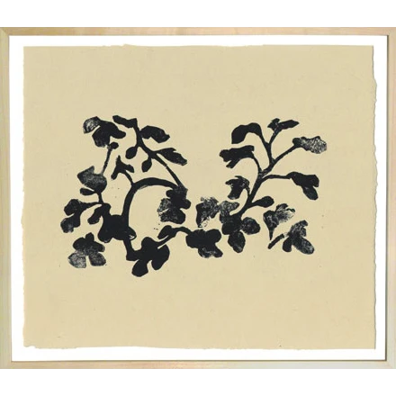 Hugo Guinness Fig Leaves 3 Hugo Guinness Fig Leaves