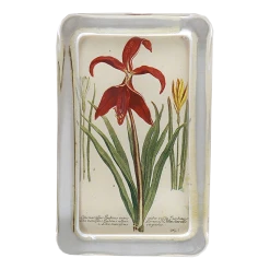 John Derian Red Lily (N. 652)