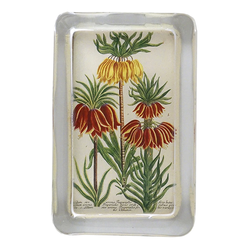 John Derian Crown Lily (N. 662) Decoupage 3 John Derian Crown Lily (N. 662) Decoupage