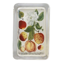 John Derian Orchard Apples (N. 704)