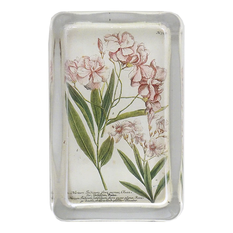 John Derian Decoupage Oleander (N. 755) 3 John Derian Decoupage Oleander (N. 755)