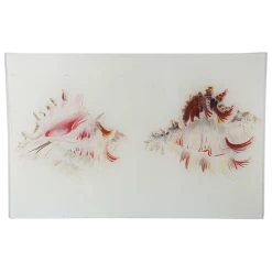 John Derian Decoupage Rock Murex