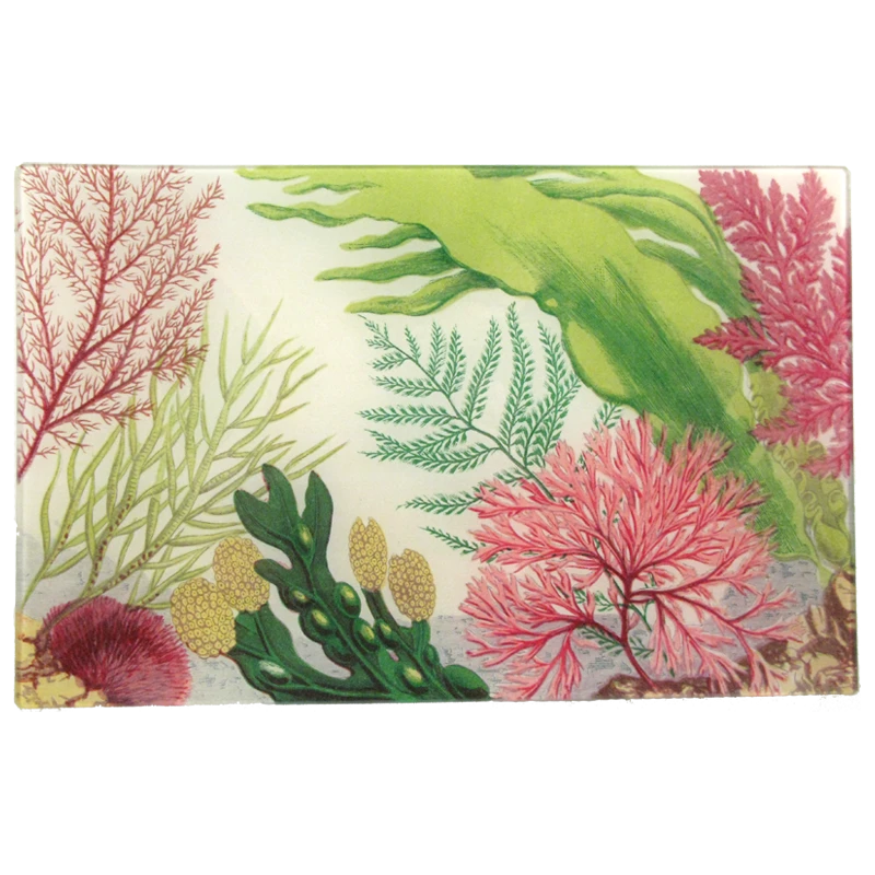 John Derian Decoupage Sea Life D 3 John Derian Decoupage Sea Life D