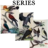 John Derian 19th Century Birds Decoupage