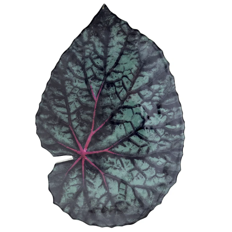 John Derian X ADV Dining & Tabletop Leaf Platter 55 3 John Derian X ADV Dining & Tabletop Leaf Platter 55