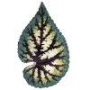 John Derian X ADV Leaf Platter 50