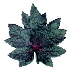 John Derian X ADV Leaf Platter 54