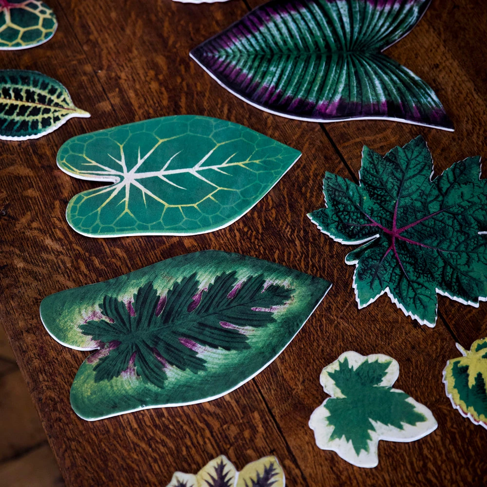 John Derian X ADV Dining & Tabletop Leaf Platter 53 4 John Derian X ADV Dining & Tabletop Leaf Platter 53