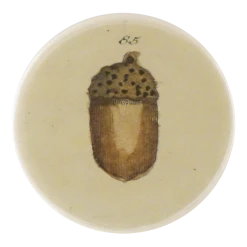 John Derian Company Inc Acorn