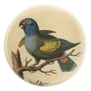 John Derian Company Inc Blue Headed Parrot Small Goods