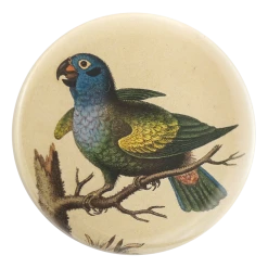 John Derian Company Inc Blue Headed Parrot Small Goods