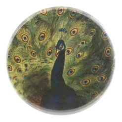 John Derian Company Inc Peacock Small Goods