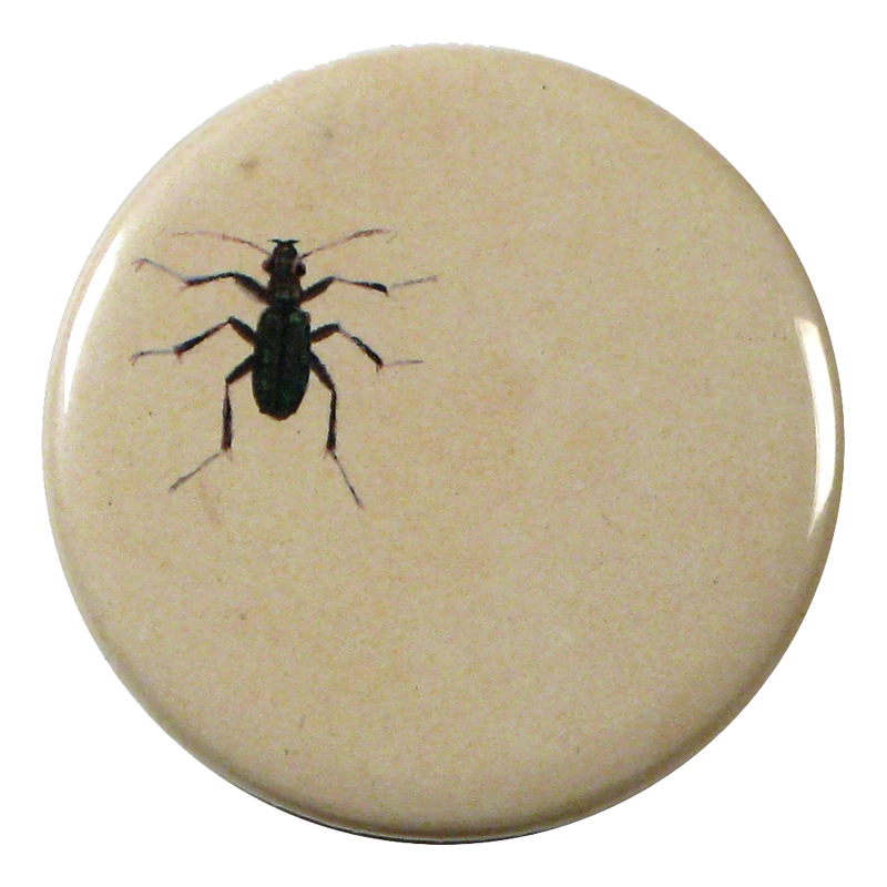 John Derian Company Inc Ant Small Goods 3 John Derian Company Inc Ant Small Goods