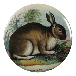 John Derian Company Inc Rabbit