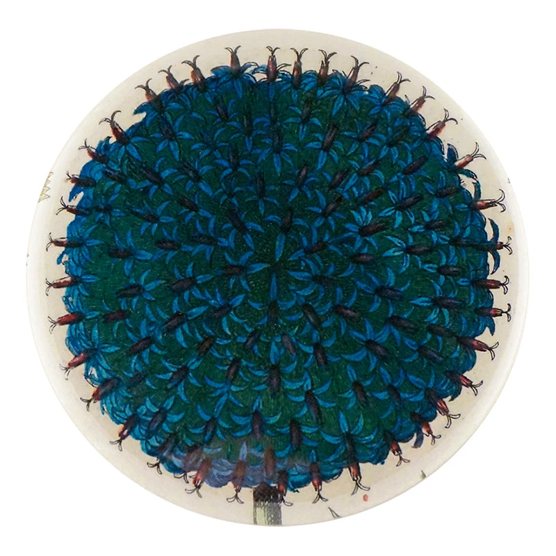 John Derian Decoupage Blue Flower 3 John Derian Decoupage Blue Flower