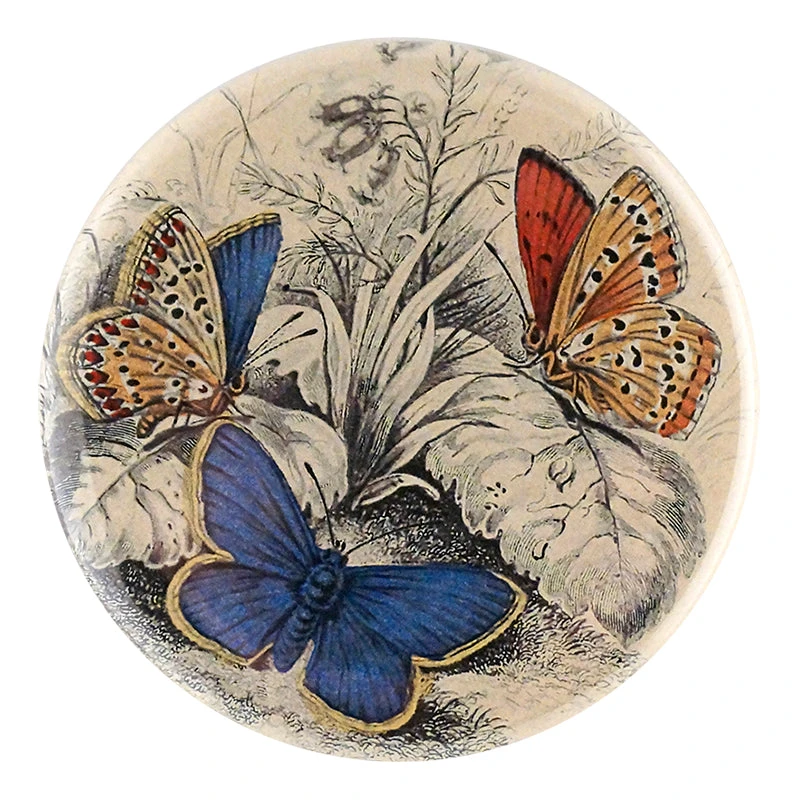 John Derian Copper & Common Butterflies 3 John Derian Copper & Common Butterflies
