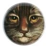 John Derian Country Cat Close Up