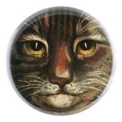 John Derian Country Cat Close Up