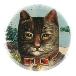 John Derian Decoupage Country Cat