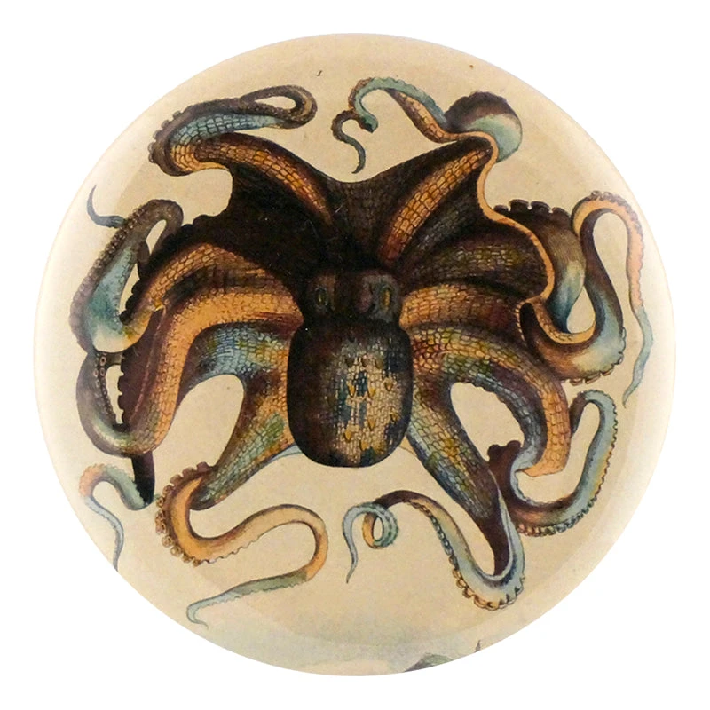 John Derian Company Inc Small Goods Octopus 3 John Derian Company Inc Small Goods Octopus