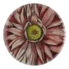 John Derian Decoupage Purple Anemone