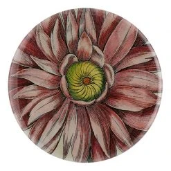 John Derian Decoupage Purple Anemone