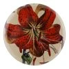 John Derian Company Inc Small Goods Red Lily