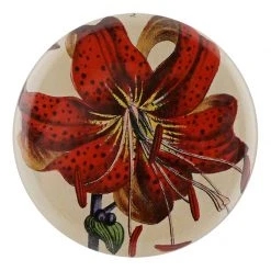 John Derian Company Inc Small Goods Red Lily