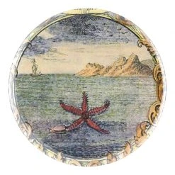 John Derian Starfish By Day Decoupage