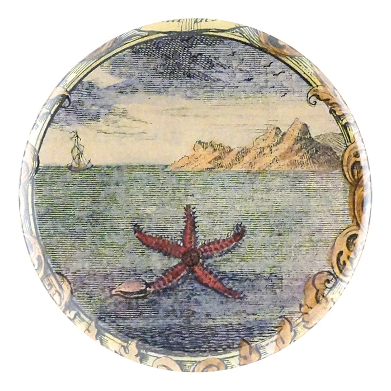 John Derian Starfish By Day Decoupage 3 John Derian Starfish By Day Decoupage