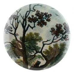 John Derian Company Inc Tree Branches (Expandable Empire 3) Small Goods