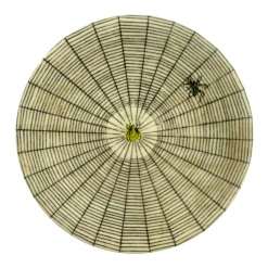 John Derian Company Inc Small Goods Melamine Spider Web Plate