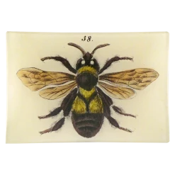 John Derian Decoupage Bee 38