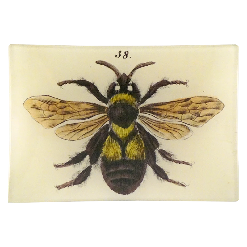 John Derian Decoupage Bee 38 3 John Derian Decoupage Bee 38