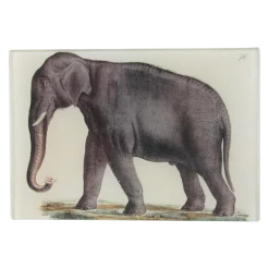 John Derian Elephant 76