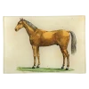 John Derian Decoupage Golden Horse