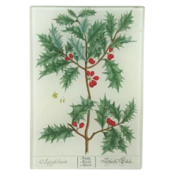John Derian Decoupage Holly