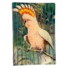 John Derian Parrot #3 (Pink)
