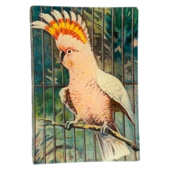 John Derian Parrot #3 (Pink)