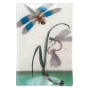 John Derian Dragonfly Over Water Decoupage