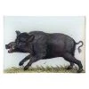 John Derian A Boar Decoupage 1 John Derian A Boar Decoupage