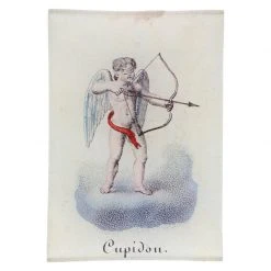 John Derian Cupidou Decoupage