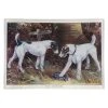 John Derian Decoupage Fox Terriers