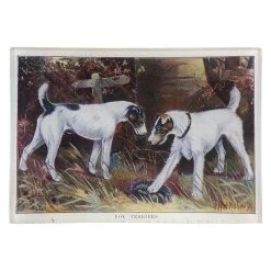 John Derian Decoupage Fox Terriers